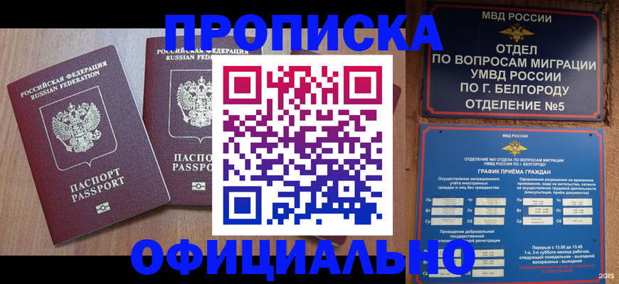 найти адрес прописки в Зиме